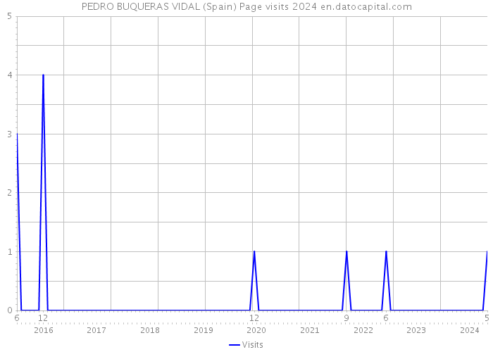 PEDRO BUQUERAS VIDAL (Spain) Page visits 2024 