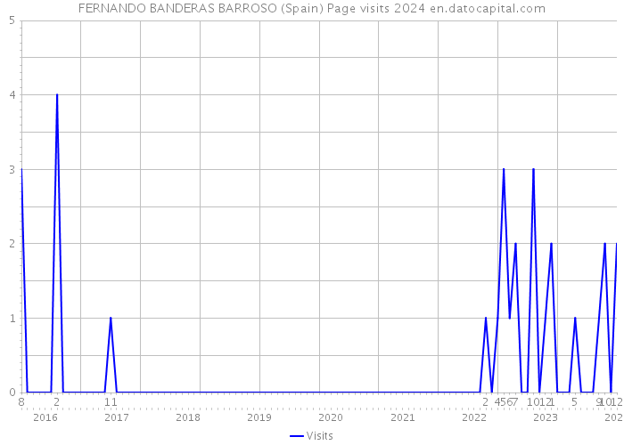 FERNANDO BANDERAS BARROSO (Spain) Page visits 2024 
