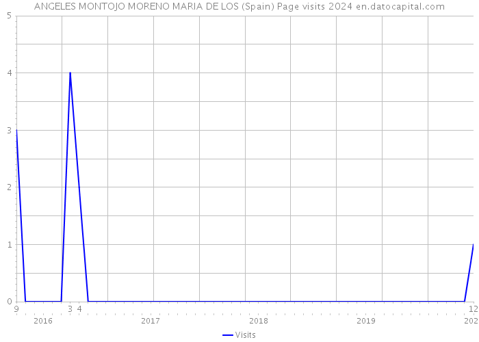 ANGELES MONTOJO MORENO MARIA DE LOS (Spain) Page visits 2024 