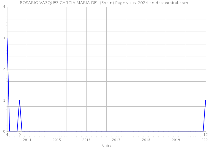 ROSARIO VAZQUEZ GARCIA MARIA DEL (Spain) Page visits 2024 