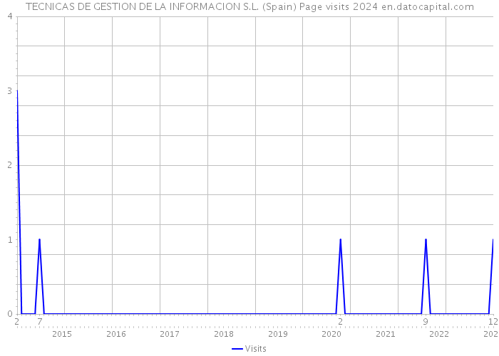 TECNICAS DE GESTION DE LA INFORMACION S.L. (Spain) Page visits 2024 