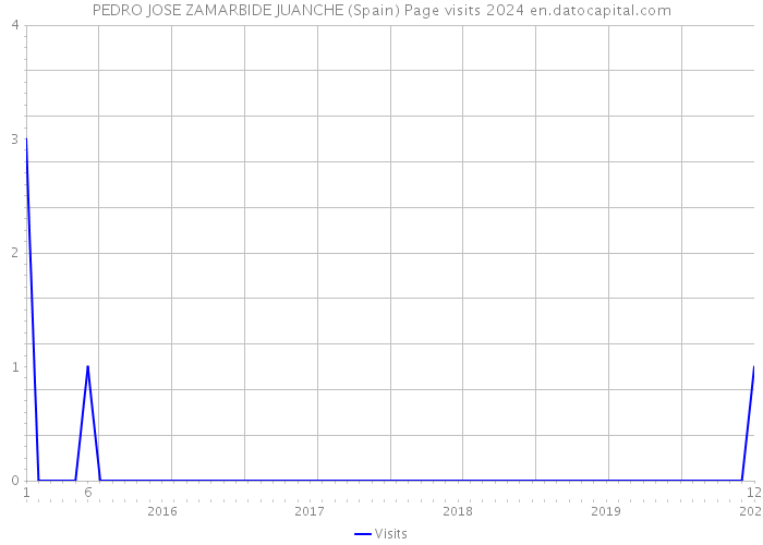 PEDRO JOSE ZAMARBIDE JUANCHE (Spain) Page visits 2024 