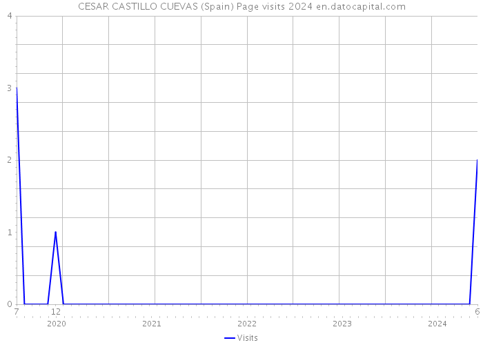 CESAR CASTILLO CUEVAS (Spain) Page visits 2024 