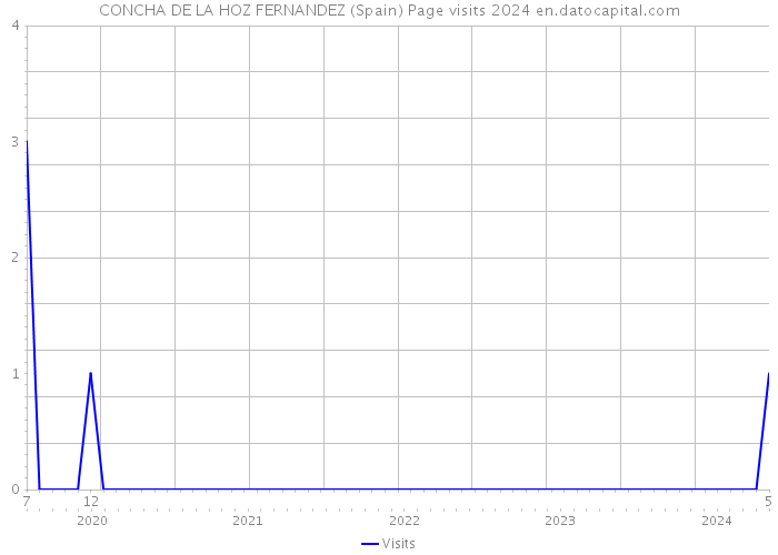 CONCHA DE LA HOZ FERNANDEZ (Spain) Page visits 2024 
