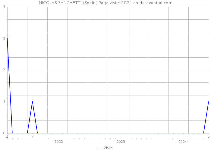 NICOLAS ZANCHETTI (Spain) Page visits 2024 