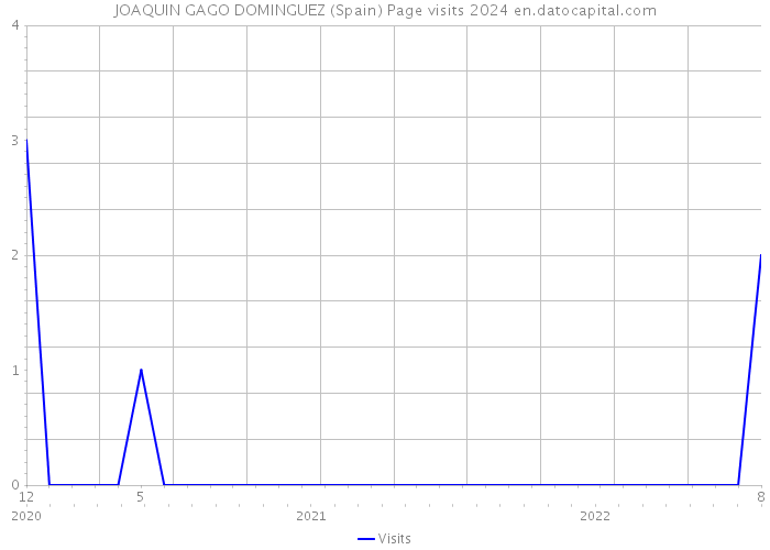 JOAQUIN GAGO DOMINGUEZ (Spain) Page visits 2024 