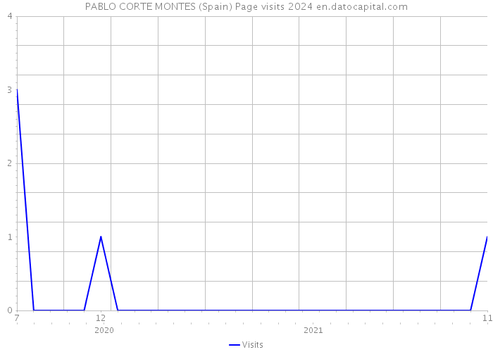 PABLO CORTE MONTES (Spain) Page visits 2024 