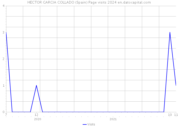 HECTOR GARCIA COLLADO (Spain) Page visits 2024 