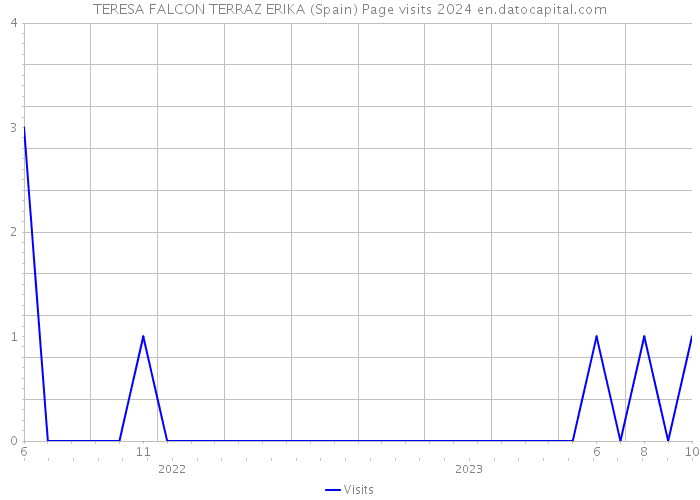TERESA FALCON TERRAZ ERIKA (Spain) Page visits 2024 