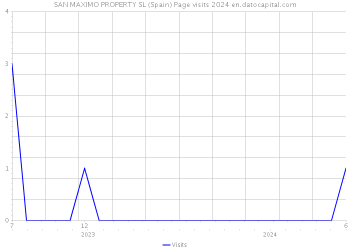 SAN MAXIMO PROPERTY SL (Spain) Page visits 2024 
