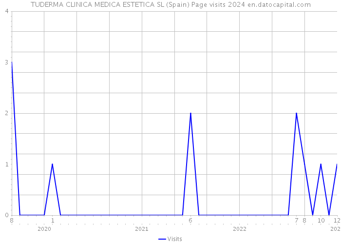 TUDERMA CLINICA MEDICA ESTETICA SL (Spain) Page visits 2024 