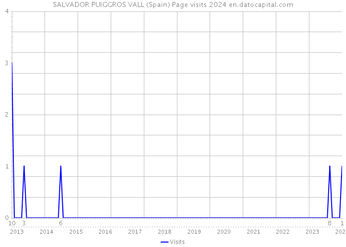 SALVADOR PUIGGROS VALL (Spain) Page visits 2024 