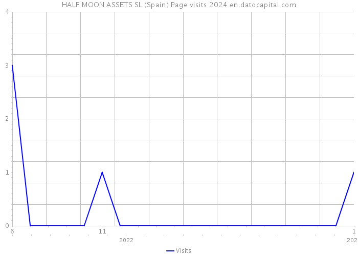 HALF MOON ASSETS SL (Spain) Page visits 2024 