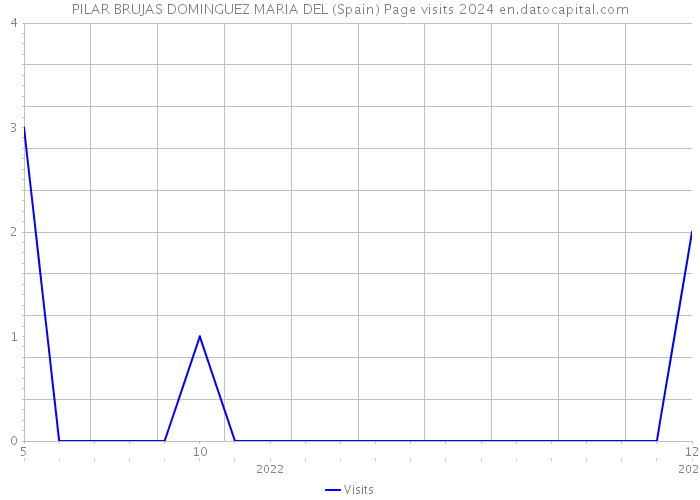 PILAR BRUJAS DOMINGUEZ MARIA DEL (Spain) Page visits 2024 