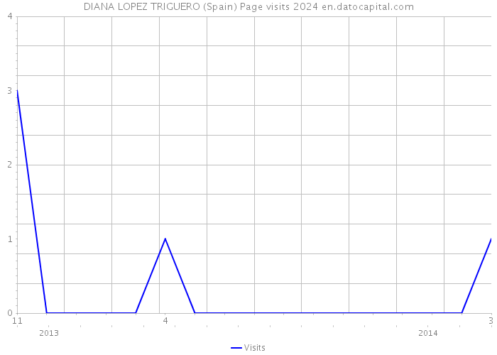 DIANA LOPEZ TRIGUERO (Spain) Page visits 2024 