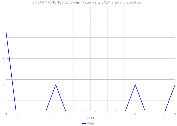 SOPAS Y PINCHOS SL (Spain) Page visits 2024 