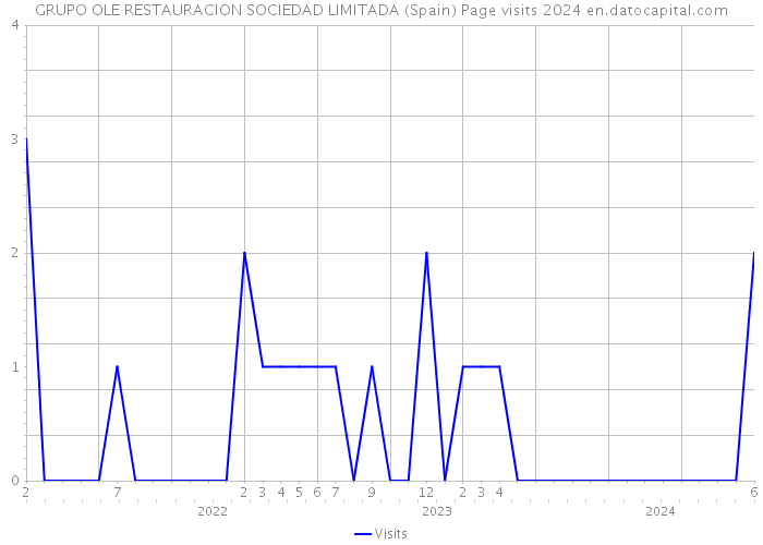 GRUPO OLE RESTAURACION SOCIEDAD LIMITADA (Spain) Page visits 2024 
