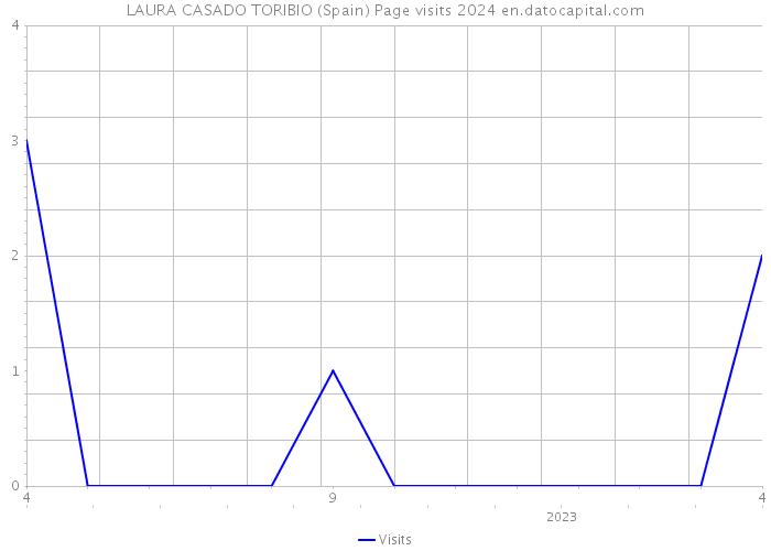 LAURA CASADO TORIBIO (Spain) Page visits 2024 