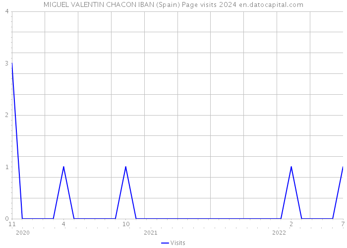 MIGUEL VALENTIN CHACON IBAN (Spain) Page visits 2024 