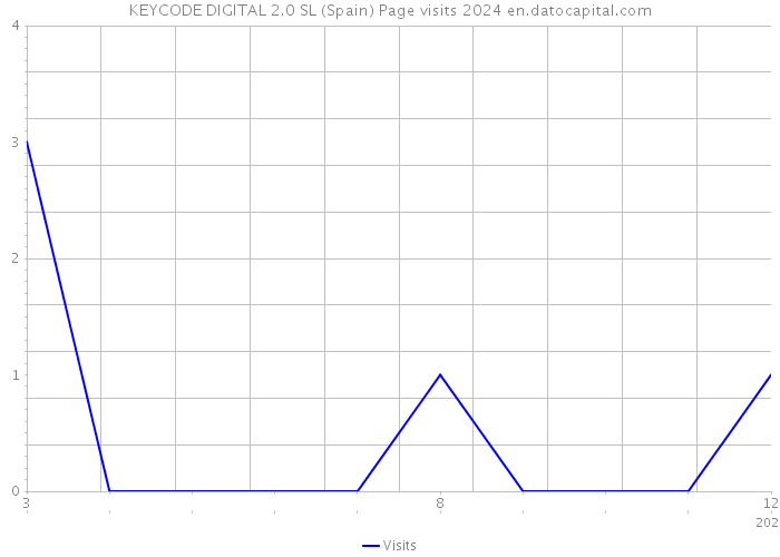KEYCODE DIGITAL 2.0 SL (Spain) Page visits 2024 