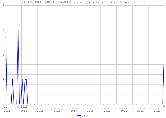 JOHAN VRIENS MICHEL LAMBERT (Spain) Page visits 2024 