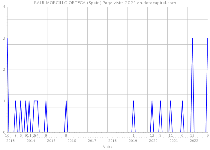 RAUL MORCILLO ORTEGA (Spain) Page visits 2024 