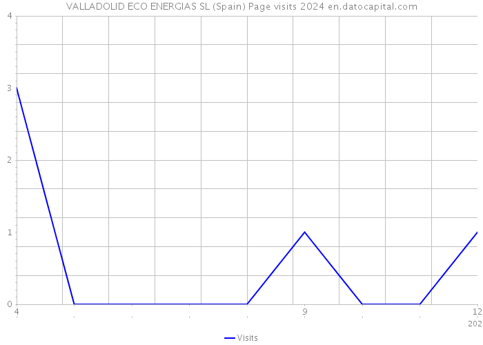 VALLADOLID ECO ENERGIAS SL (Spain) Page visits 2024 