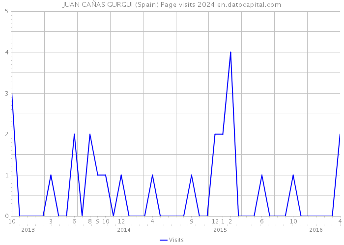 JUAN CAÑAS GURGUI (Spain) Page visits 2024 