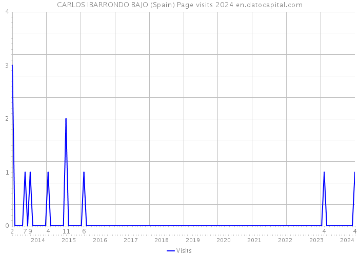 CARLOS IBARRONDO BAJO (Spain) Page visits 2024 