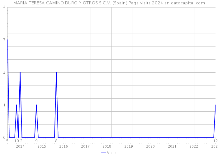 MARIA TERESA CAMINO DURO Y OTROS S.C.V. (Spain) Page visits 2024 