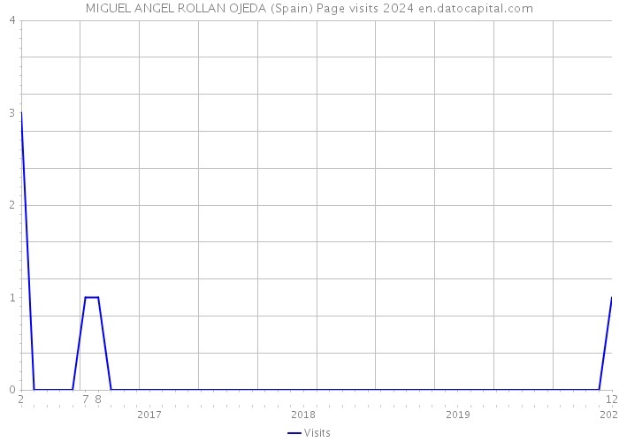 MIGUEL ANGEL ROLLAN OJEDA (Spain) Page visits 2024 