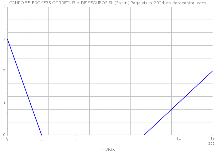 GRUPO 55 BROKERS CORREDURIA DE SEGUROS SL (Spain) Page visits 2024 