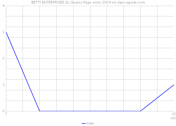 BETTI ENTERPRISES SL (Spain) Page visits 2024 