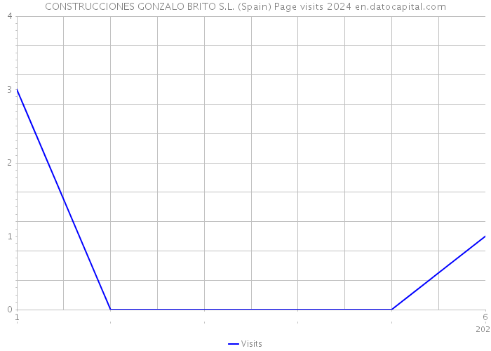 CONSTRUCCIONES GONZALO BRITO S.L. (Spain) Page visits 2024 