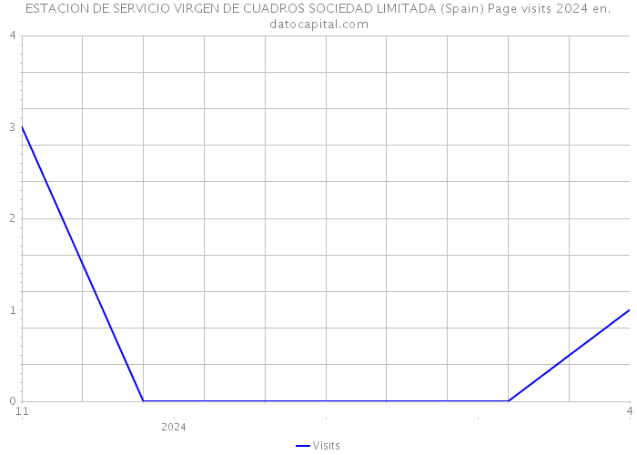 ESTACION DE SERVICIO VIRGEN DE CUADROS SOCIEDAD LIMITADA (Spain) Page visits 2024 