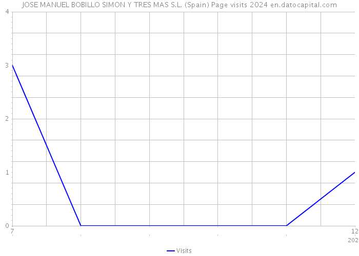 JOSE MANUEL BOBILLO SIMON Y TRES MAS S.L. (Spain) Page visits 2024 