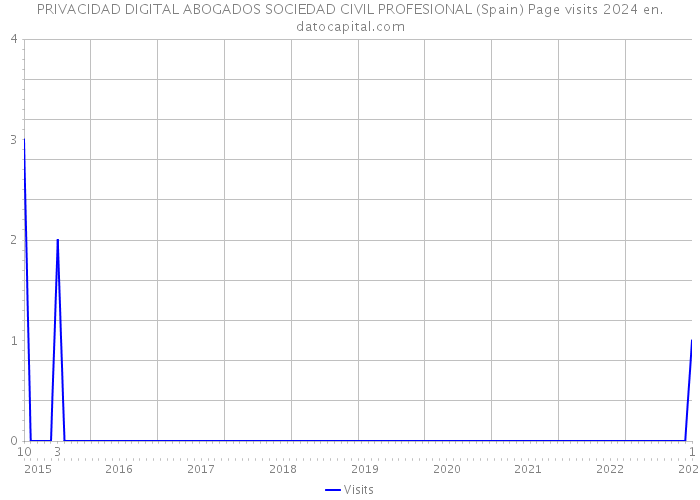 PRIVACIDAD DIGITAL ABOGADOS SOCIEDAD CIVIL PROFESIONAL (Spain) Page visits 2024 