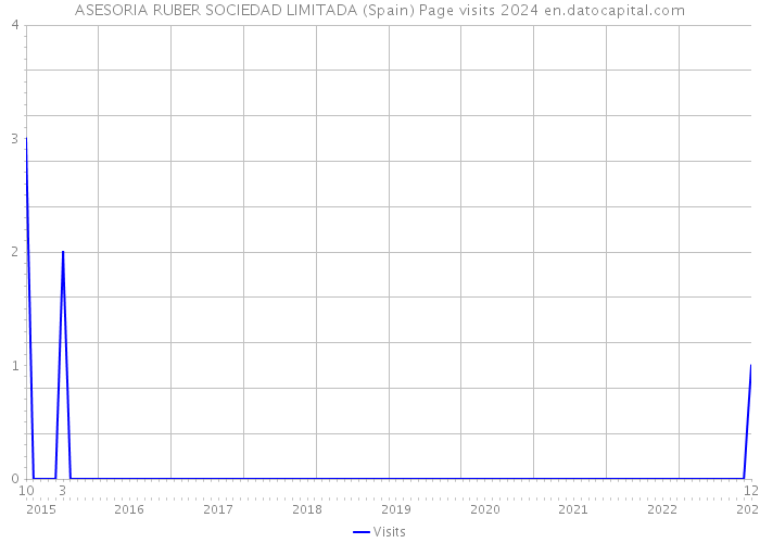 ASESORIA RUBER SOCIEDAD LIMITADA (Spain) Page visits 2024 