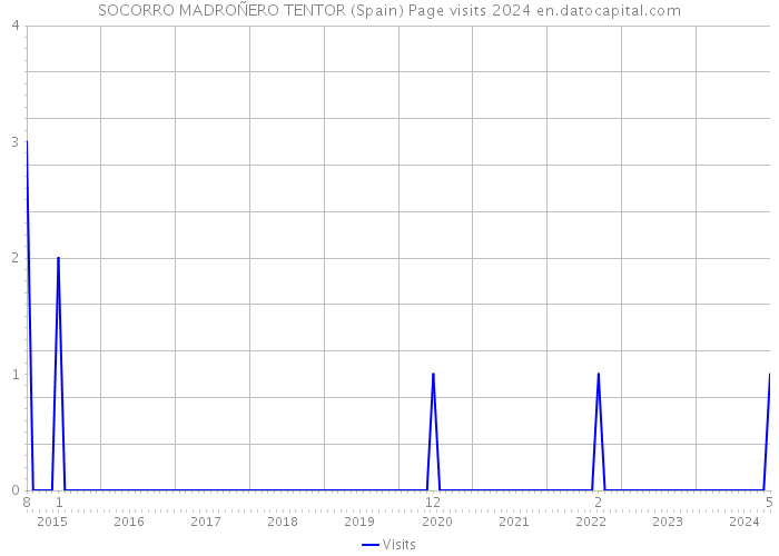 SOCORRO MADROÑERO TENTOR (Spain) Page visits 2024 