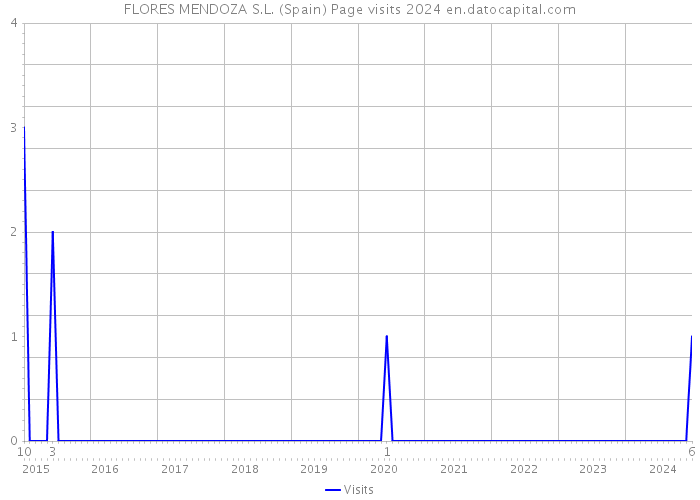 FLORES MENDOZA S.L. (Spain) Page visits 2024 