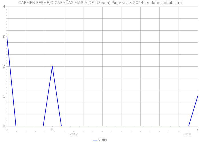 CARMEN BERMEJO CABAÑAS MARIA DEL (Spain) Page visits 2024 