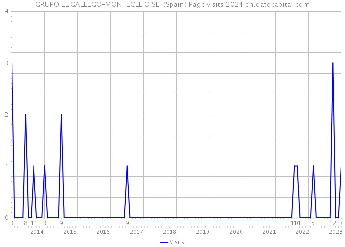 GRUPO EL GALLEGO-MONTECELIO SL. (Spain) Page visits 2024 