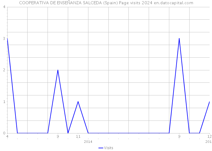 COOPERATIVA DE ENSEÑANZA SALCEDA (Spain) Page visits 2024 