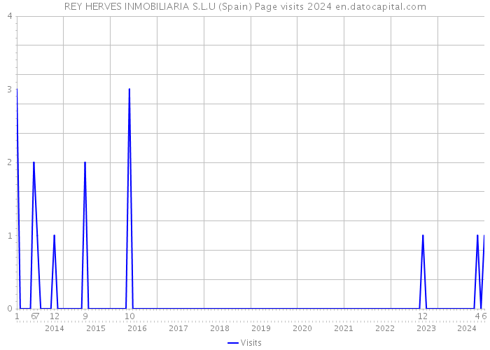 REY HERVES INMOBILIARIA S.L.U (Spain) Page visits 2024 