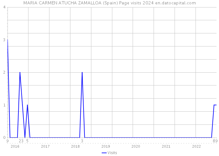 MARIA CARMEN ATUCHA ZAMALLOA (Spain) Page visits 2024 