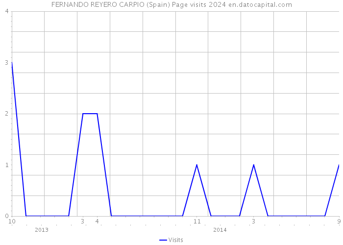 FERNANDO REYERO CARPIO (Spain) Page visits 2024 