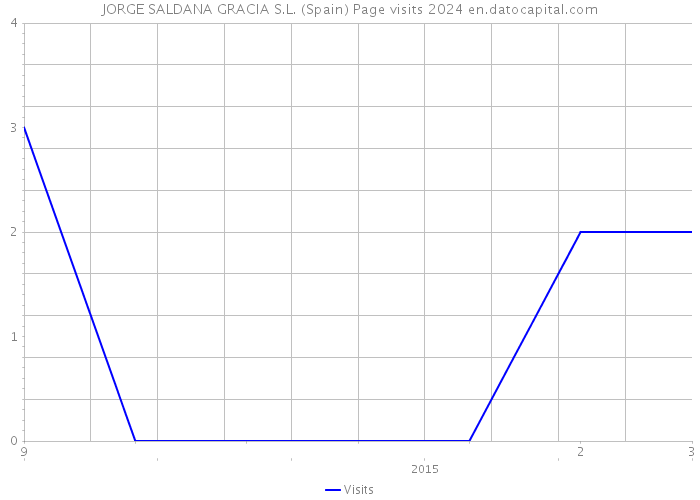 JORGE SALDANA GRACIA S.L. (Spain) Page visits 2024 