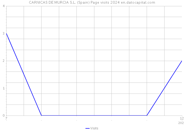 CARNICAS DE MURCIA S.L. (Spain) Page visits 2024 