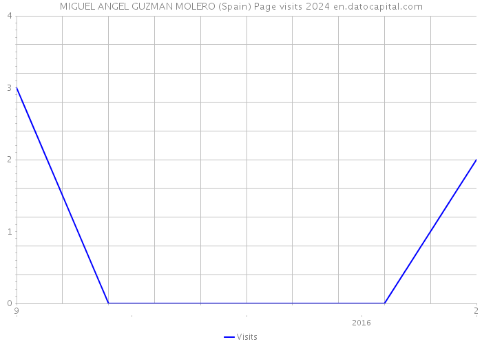 MIGUEL ANGEL GUZMAN MOLERO (Spain) Page visits 2024 