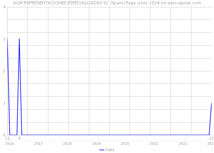 AGM REPRESENTACIONES ESPECIALIZADAS SC (Spain) Page visits 2024 